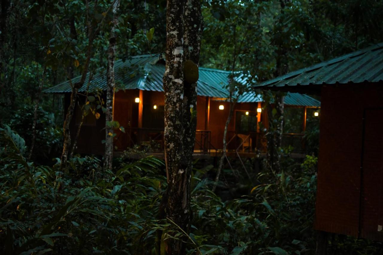 Monsoon Retreats Ecostay- Treehouse Thekkady Exteriér fotografie