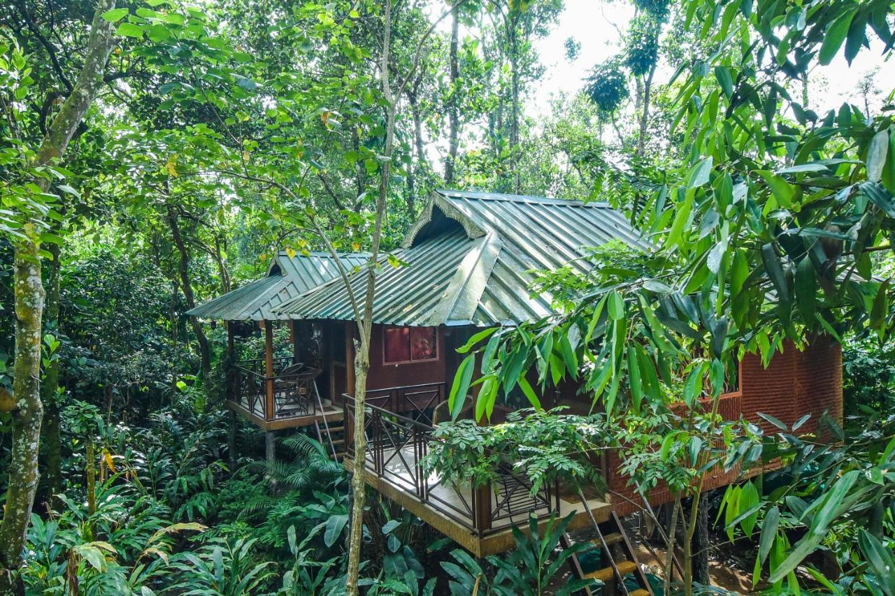 Monsoon Retreats Ecostay- Treehouse Thekkady Exteriér fotografie