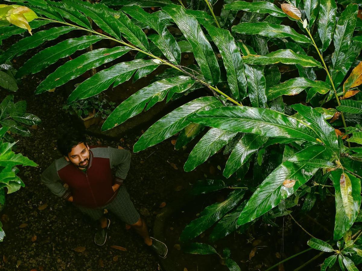 Monsoon Retreats Ecostay- Treehouse Thekkady Exteriér fotografie
