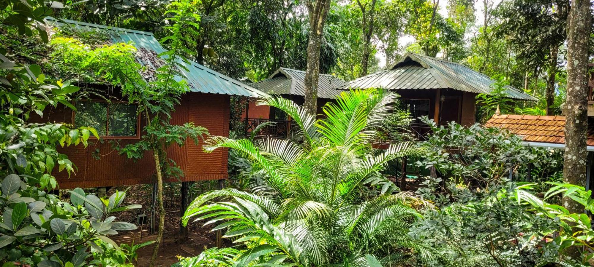 Monsoon Retreats Ecostay- Treehouse Thekkady Exteriér fotografie