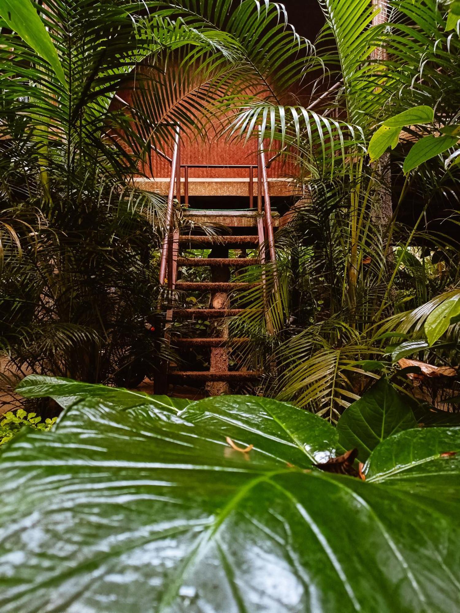 Monsoon Retreats Ecostay- Treehouse Thekkady Pokoj fotografie