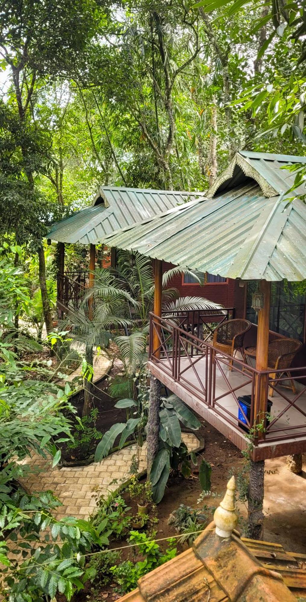 Monsoon Retreats Ecostay- Treehouse Thekkady Exteriér fotografie