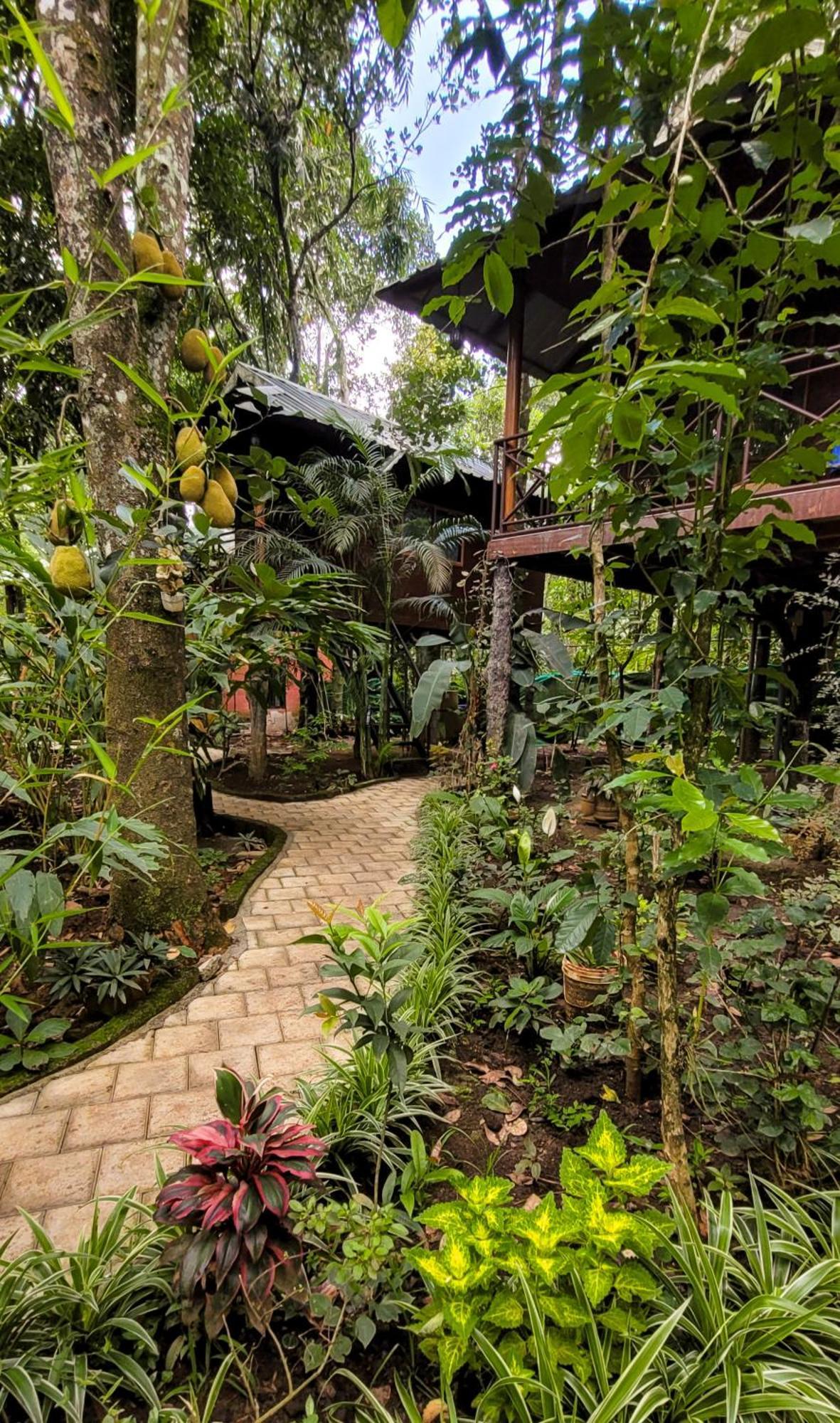 Monsoon Retreats Ecostay- Treehouse Thekkady Exteriér fotografie