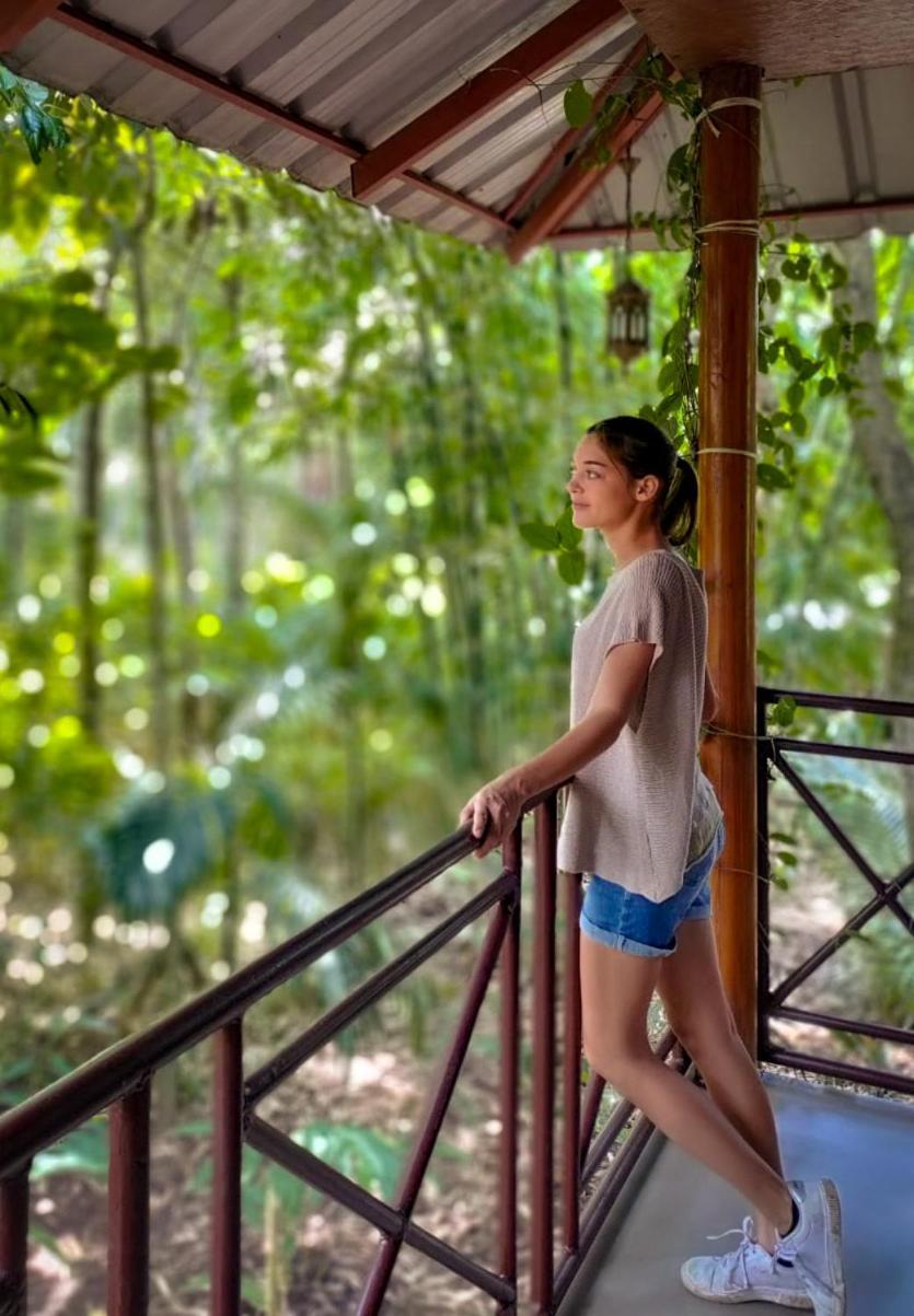 Monsoon Retreats Ecostay- Treehouse Thekkady Exteriér fotografie