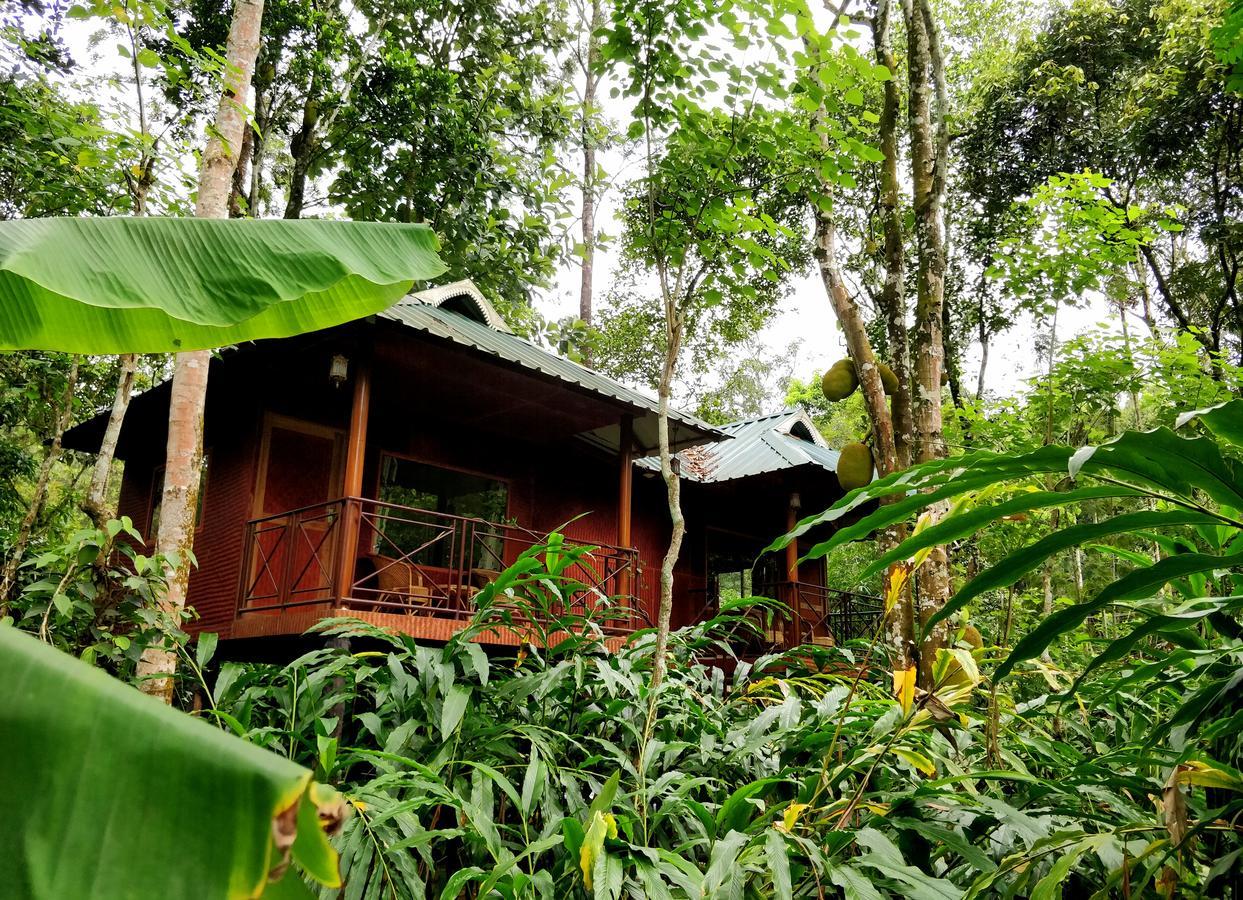 Monsoon Retreats Ecostay- Treehouse Thekkady Exteriér fotografie