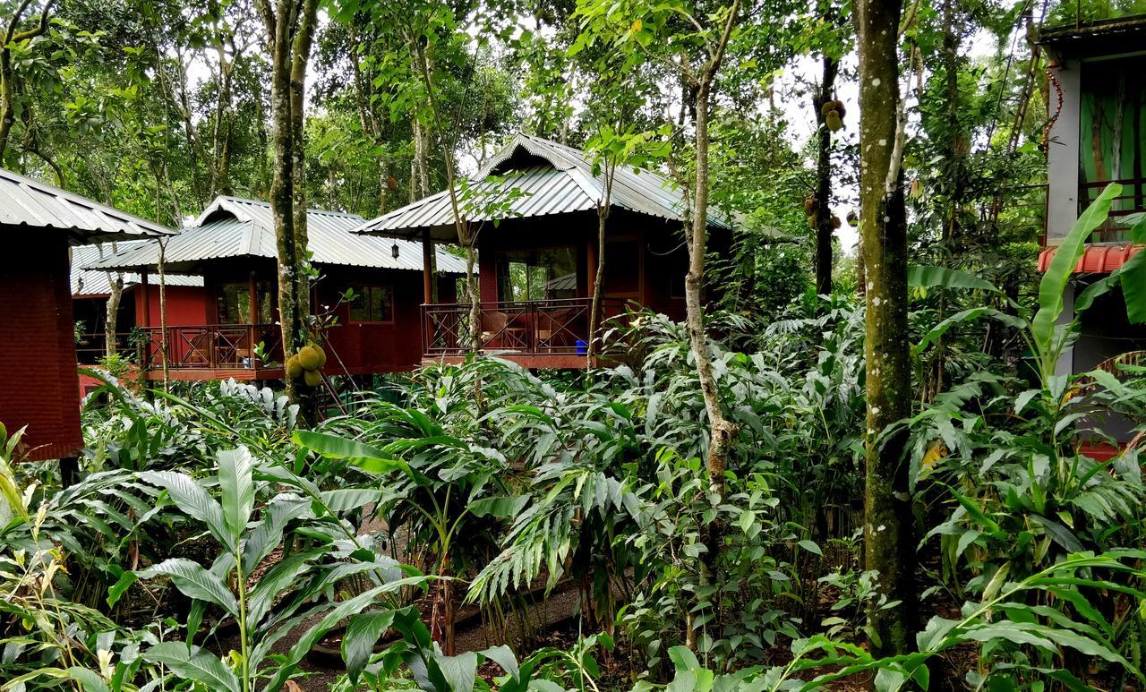 Monsoon Retreats Ecostay- Treehouse Thekkady Exteriér fotografie