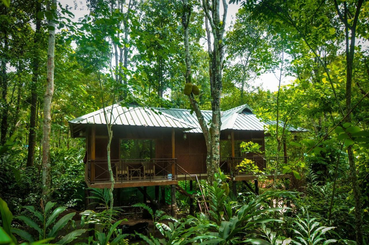 Monsoon Retreats Ecostay- Treehouse Thekkady Exteriér fotografie