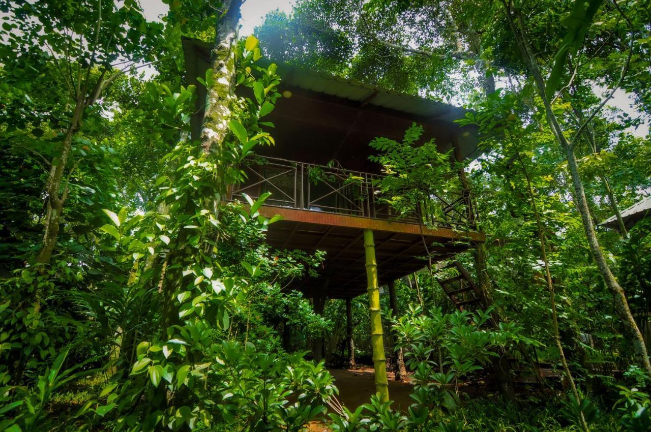 Monsoon Retreats Ecostay- Treehouse Thekkady Exteriér fotografie