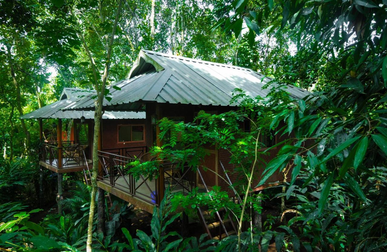 Monsoon Retreats Ecostay- Treehouse Thekkady Exteriér fotografie